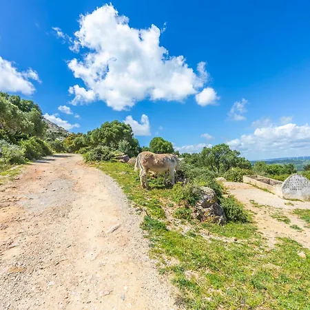Cortijo Pajaro Punta De La Laja